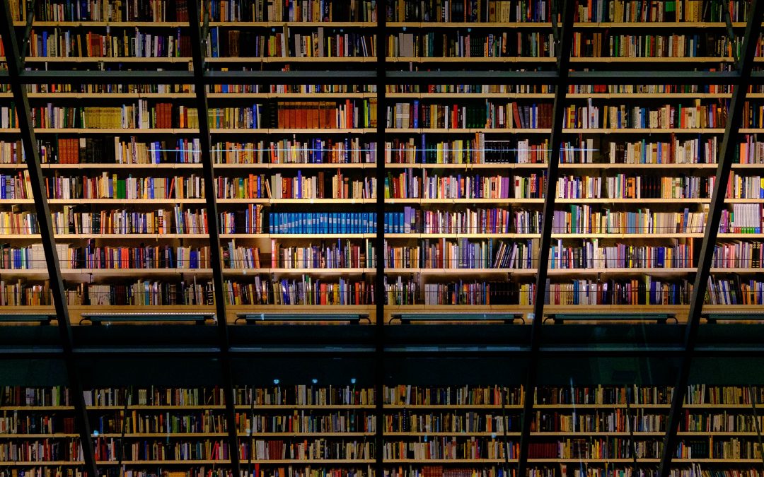 Taxonomy: An Intriguing Look at What We Can Learning From the Library