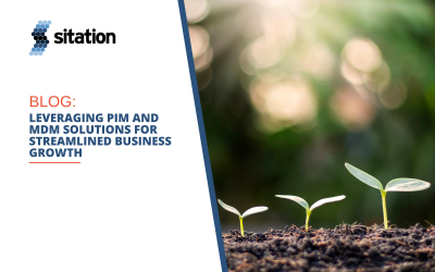 Leveraging PIM and MDM Solutions for Streamlined Business Growth