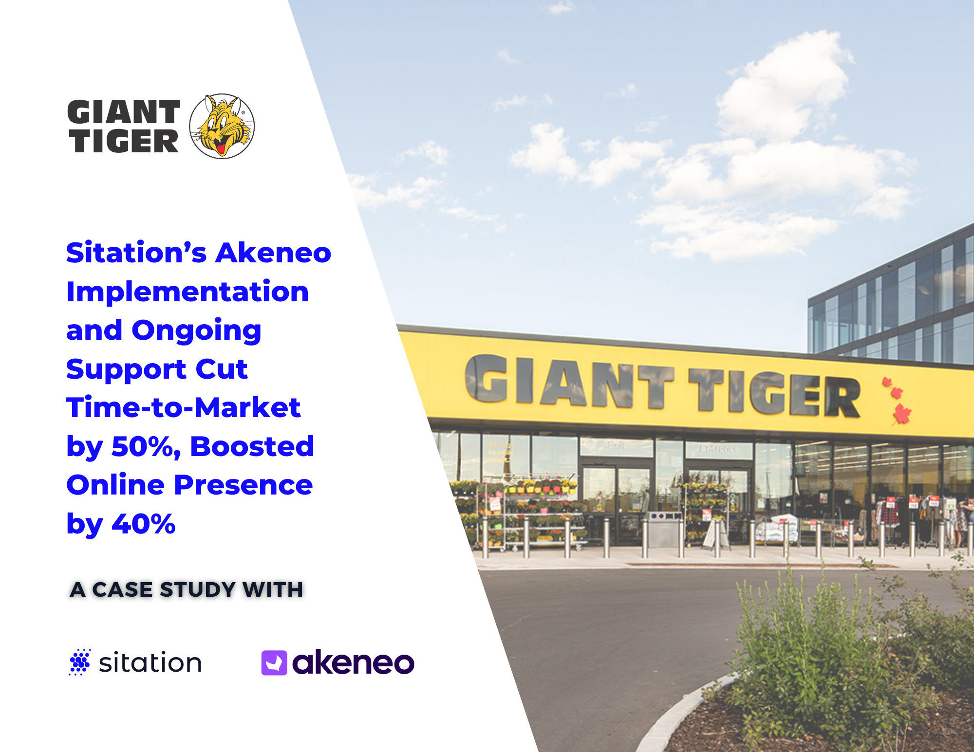 Case Study: Giant Tiger