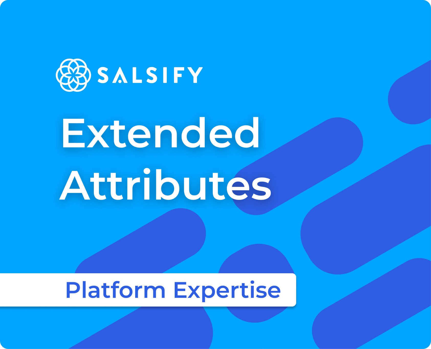 Extended Attributes in Salsify: A Faster Path to Amazon Syndication