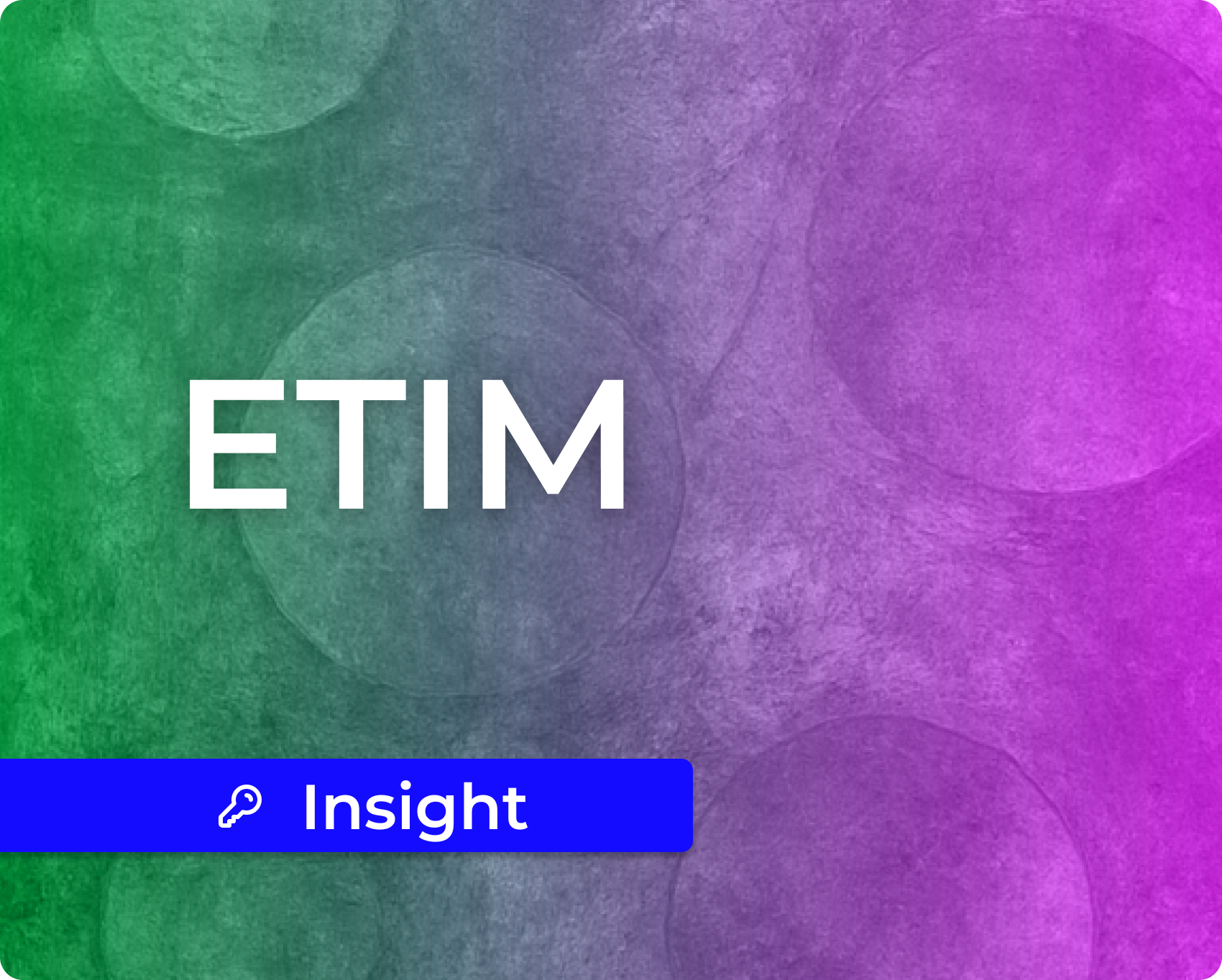 What Is ETIM, and Why Are Your Biggest Customers Asking for It?