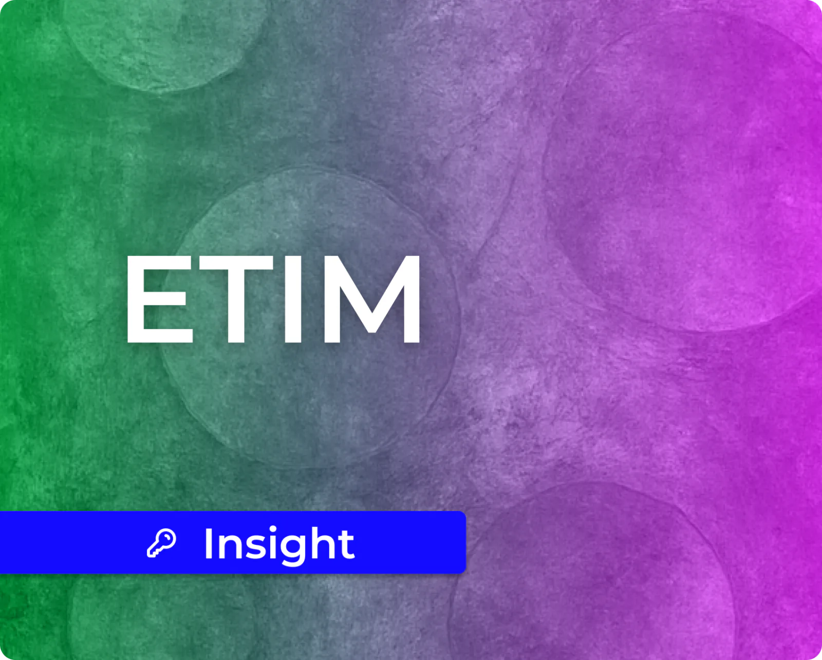 What Is ETIM, and Why Are Your Biggest Customers Asking for It?